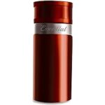 سنشيال سبورت