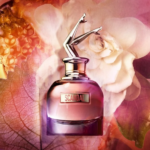 سكاندل باى نايت جان بول جوتيه